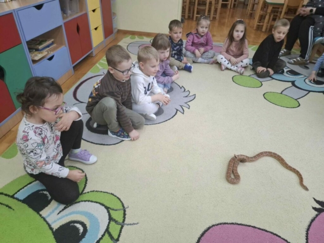 warsztaty