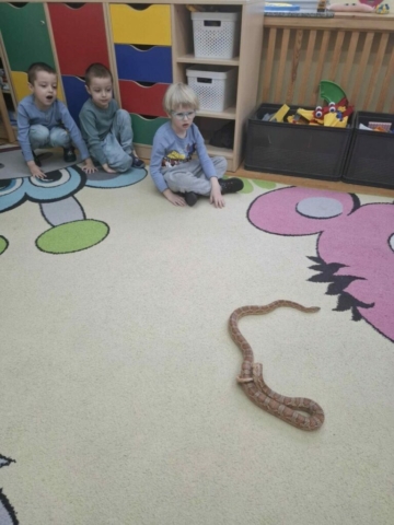 warsztaty