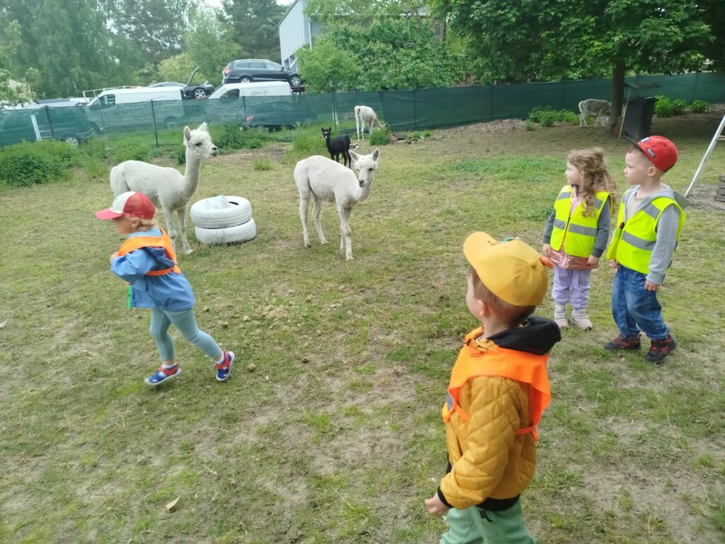 Wycieczka do bajkowej krainy