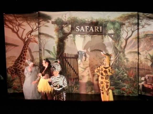 safari